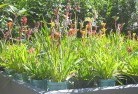 Balnarringplant-nursery-17.jpg; ?>