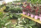 Balnarringplant-nursery-7.jpg; ?>