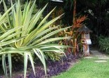 Tropical Landscaping Landscaping Solutions